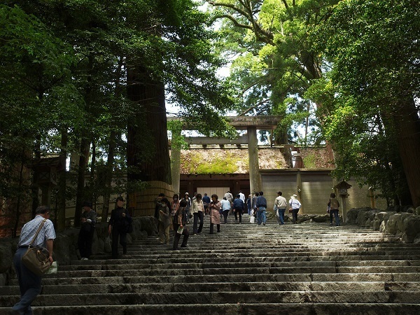 松戸 コレクション バス 旅行